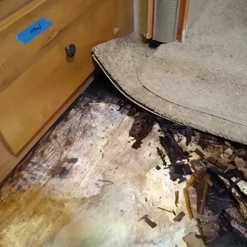 Wood Floor Water Damage in Rockwall County, TX